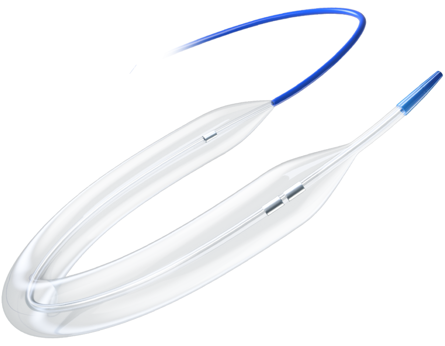 Cordis S.M.A.R.T. CONTROL Vascular Stent System